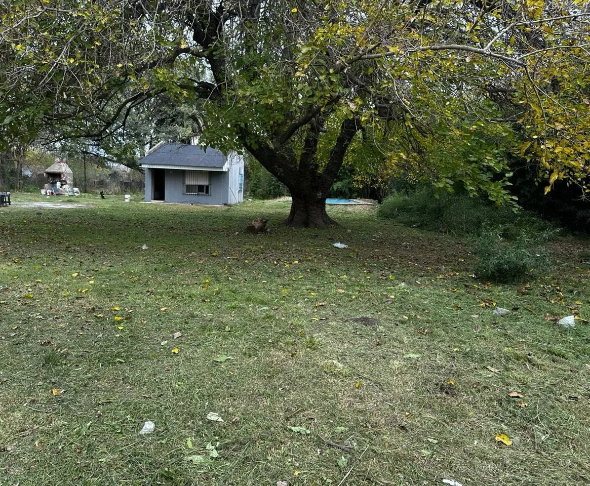 Arbolado de gran porte y vivienda existente en el predio